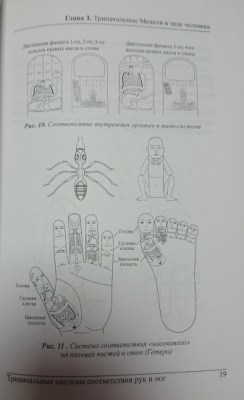Триначальные системы соотвествия рук и ног_4